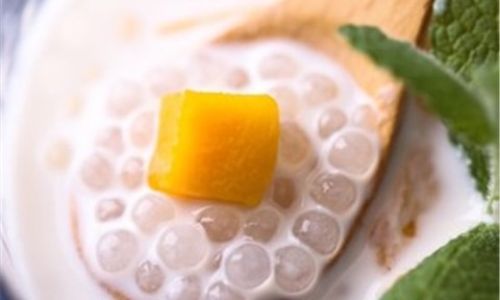 Mastering the Art of Making Coconut Milk Tapioca Pudding