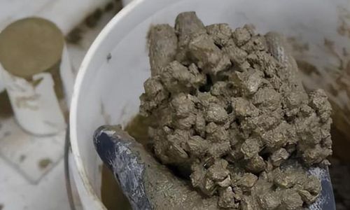 Understanding the Phenomenon of Coconut Milk Solidification:When Its Not Past Its Prime