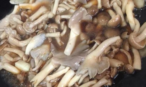 Delightful Culinary Delights:Exploring Various Tasty Ways to Cook Dried Scallops