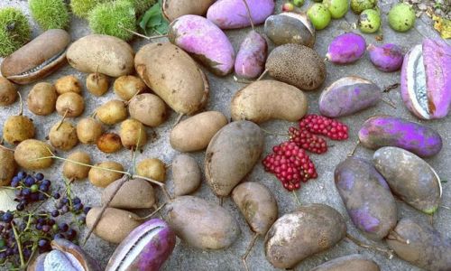 How to Tell if Kidney Beans Are Properly Cooked