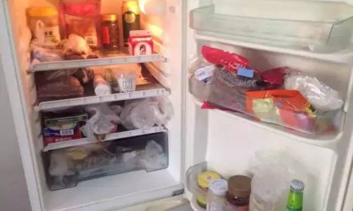The Necessity of Refrigerating Yakult:A Comprehensive Analysis