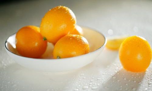 Essential Tips for Cultivating and Maintaining Kumquat Trees
