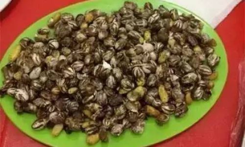 An Exploration of Yang Laczi Cans:A Unique Delicacy in Chinese Folk Culture