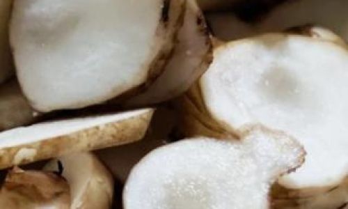 Exploring the Culinary Delights of Jerusalem Artichoke:Traditional and Innovative Recipes