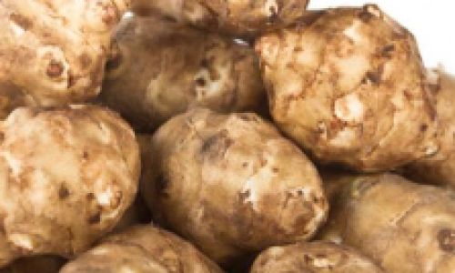 Unraveling the Enigma of Jerusalem Artichoke:What Exactly is It?