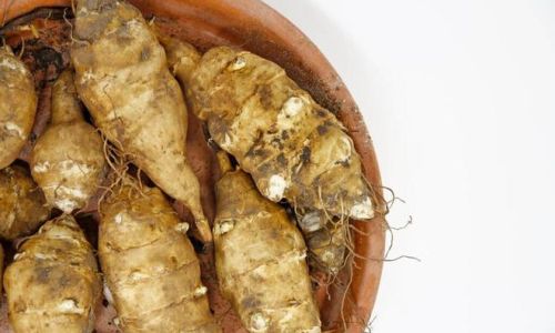 Unraveling the Enigma of Jerusalem Artichoke:What Exactly is It?