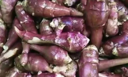 Mastering the Art of Pickling Jerusalem Artichokes:A Delicious Journey