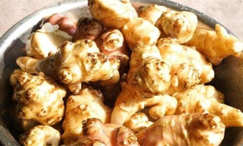Discovering the Culinary Delights of Jerusalem Artichoke:How to Enjoy This Unique Root Vegetable
