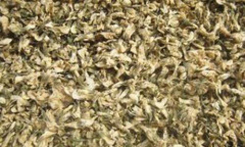 Preserving Dried Locust Blossoms:A Comprehensive Guide