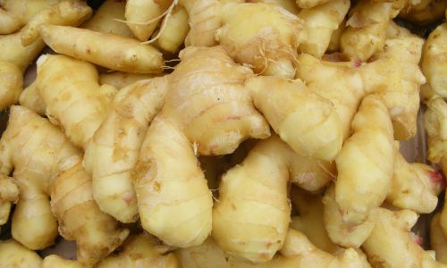 The Most Straightforward Preservation Methods for Zingiber Mioga Ostrich Ginger)