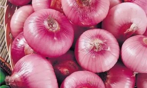How to Cook Onions Without Them Turning Black:A Comprehensive Guide