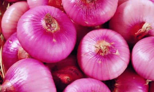 Mastering the Art of Delicious Onion Head Dishes