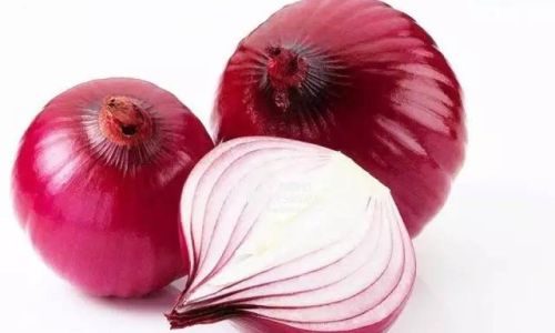 Can Onions Be Stored in the Refrigerator for Freshness?An In-Depth Analysis