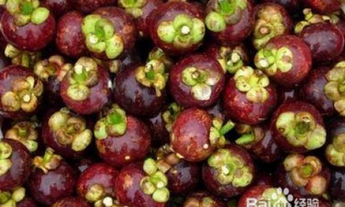 The Art of Peeling Mangosteen:A Step-by-Step Guide to Effortless Enjoyment