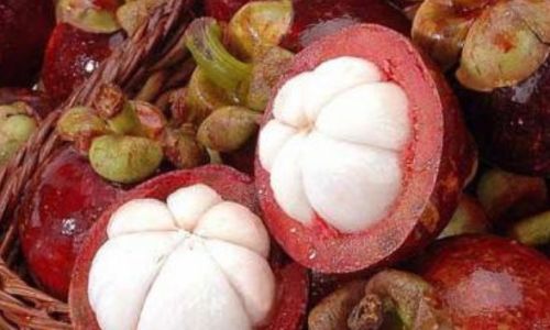 The Art of Peeling Mangosteen:A Step-by-Step Guide to Effortless Enjoyment