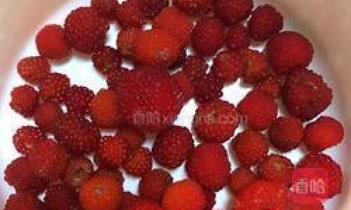 The Art of Savoring Raspberries:A Comprehensive Guide to Enjoying Nature’s Sweet-Tart Treasure