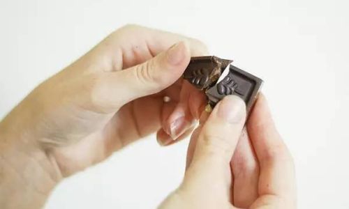 The Anatomy of Chocolate-Induced Weight Gain:Unraveling Where Excess Calories Settle