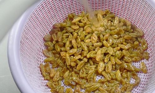 To Rinse or Not to Rinse:The Great Raisin Dilemma Should You Wash Your Raisins Before Eating?
