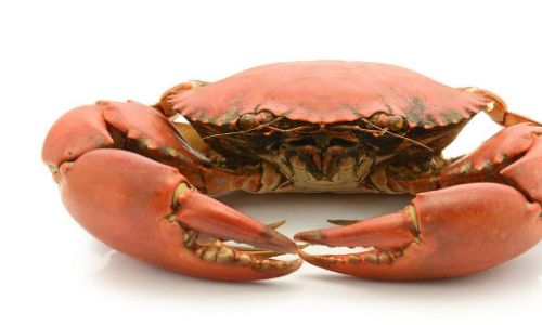 The Art of Crafting the Perfect Dipping Sauce for Crab:A Comprehensive Guide