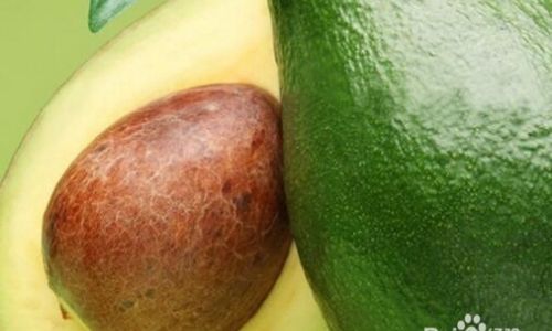 The Optimal Season for Savoring Avocados:A Guide to Peak Flavor,Nutrition,and Sustainability