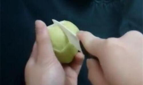 To Peel or Not to Peel:The Guava Dilemma Unveiled