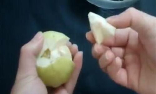 To Peel or Not to Peel:The Guava Dilemma Unveiled