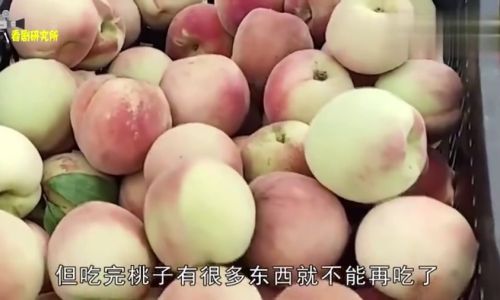 From Waste to Wonder:Creative Ways to Use Up Leftover Peaches