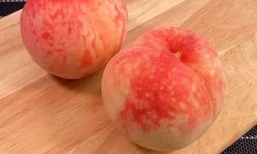 From Waste to Wonder:Creative Ways to Use Up Leftover Peaches