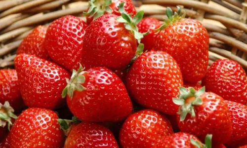 Preserving the Bounty:Creative and Effective Ways to Save Leftover Raspberries