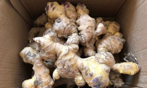How to Store and Preserve Leftover Croissants:Tips and Tricks for Maintaining Freshness and Flavor