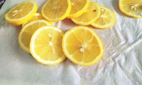 Oranges vs.Lemons in Honey Water:A Comparative Analysis of Citrus Infusions