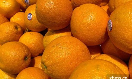 Can Oranges Be Stored in the Refrigerator?A Comprehensive Guide to Preserving Citrus Freshness