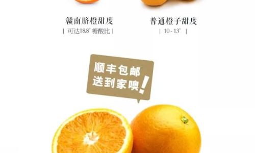 How Long Do Oranges Last?A Comprehensive Guide to Storage,Shelf Life,and Freshness