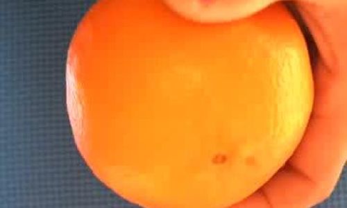 Creative and Delicious Ways to Enjoy Oranges:From Classic to Innovative Recipes