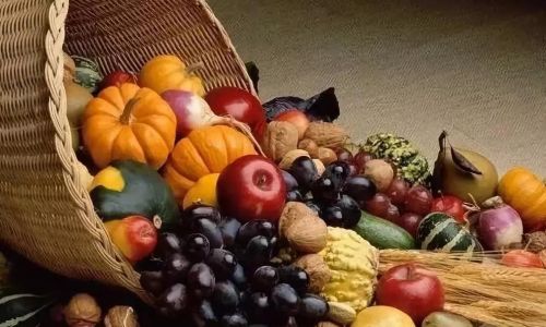 Optimizing Orange Storage Temperature:A Comprehensive Guide to Prolonging Freshness and Quality