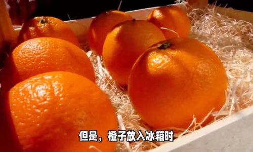The Great Orange Debate:To Refrigerate or Not to Refrigerate?