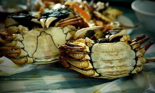 The Ultimate Guide to Chengyang Lake Hairy Crabs:When Are They at Their Fattest and Most Flavorful?
