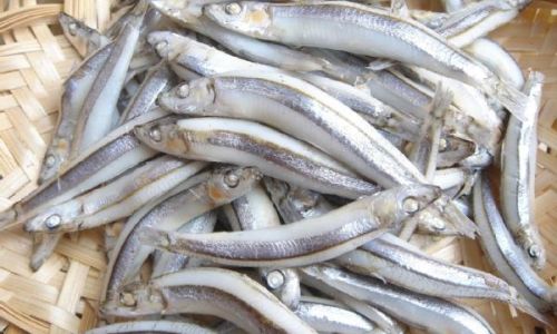 Mastering the Art of Crafting Crispy Dried Anchovies Dilis Fish)
