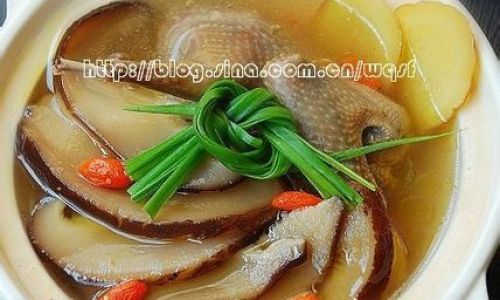 Mastering the Art of Making Matsutake Mushroom Soup