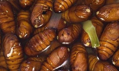 How to Cook Boiled Silkworm Pupae:A Comprehensive Guide