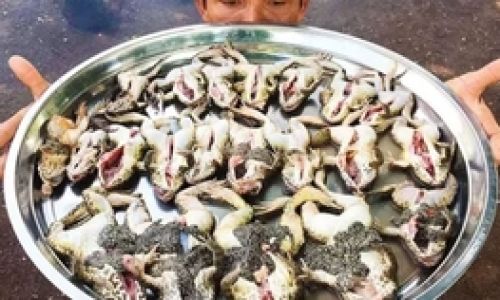 How to Make Stone Frog Stew:A Culinary Delight from Traditional Recipes