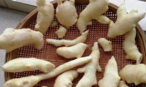 How to Sun-Dry Ginger:A Comprehensive Guide