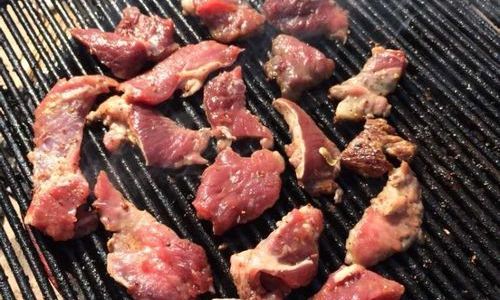 The Art of Grilling:How to Make Your Barbecue Delightfully Delicious
