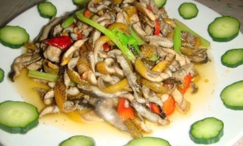 Mastering the Art of Stir-Frying Eel with Celery:A Culinary Journey