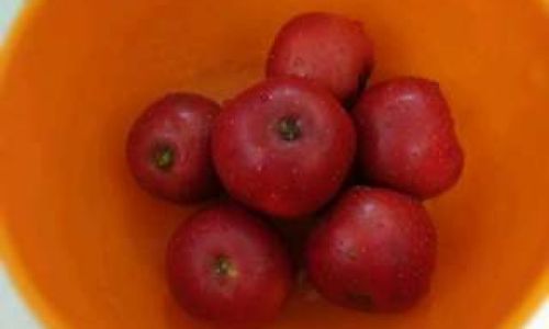How to Make Hawthorn Cans:A Step-by-Step Guide