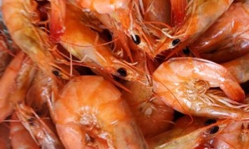How to Make Sun-Dried Shrimp:A Step-by-Step Guide