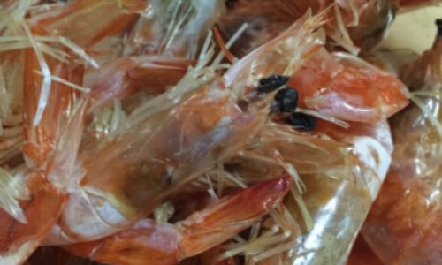 How to Make Sun-Dried Shrimp:A Step-by-Step Guide