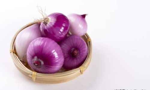 Mastering the Art of Making Delicious Dishes with Onions