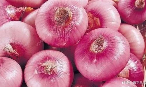 How to Determine if an Onion is Properly Cooked:A Comprehensive Guide