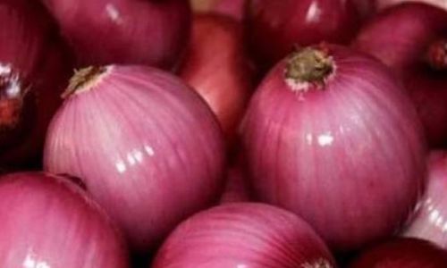 How to Determine if an Onion is Properly Cooked:A Comprehensive Guide
